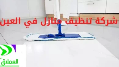 شركة تنظيف منازل في العين