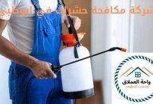 صورة شركة مكافحة حشرات في ابوظبي