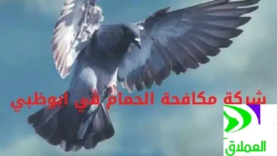 شركة مكافحة الحمام في أبوظبي