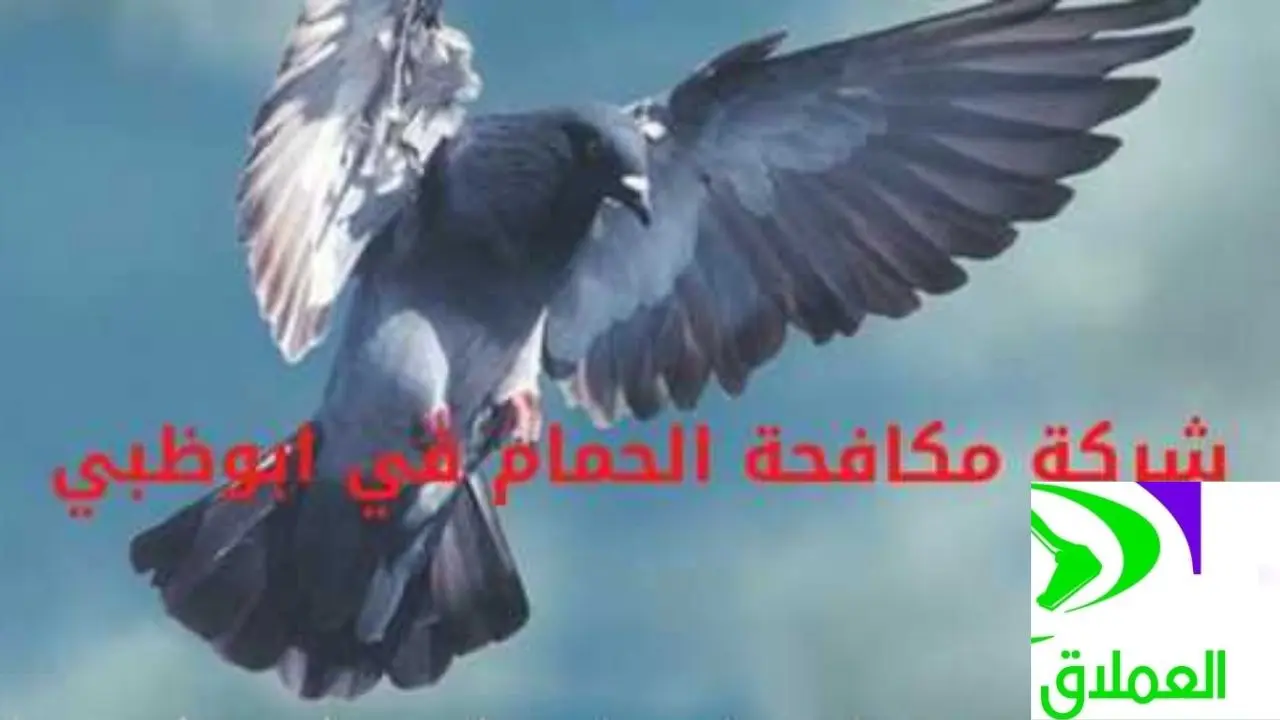 شركة مكافحة الحمام في أبوظبي