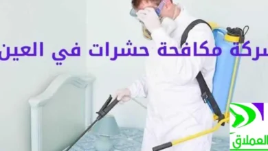 شركة مكافحة حشرات في العين