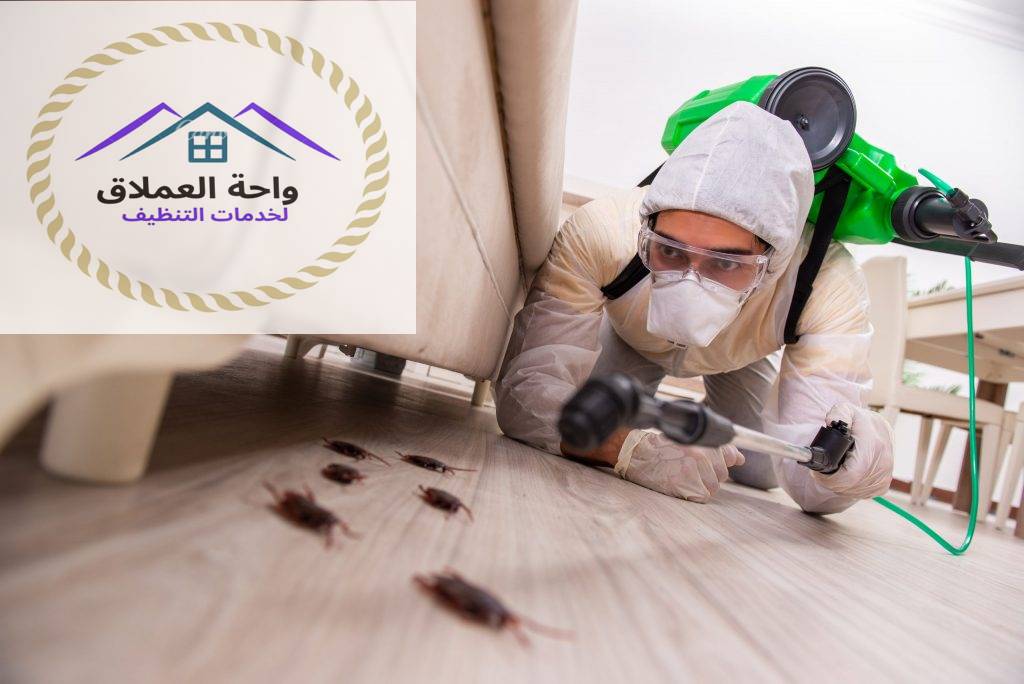 ارقام شركات رش الحشرات في ابوظبي 0508090427