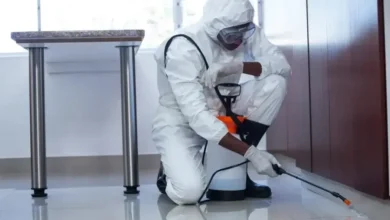 شركة تنظيف ومكافحة حشرات في عجمان