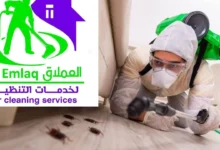 شركة مكافحة صراصير في ابوظبي