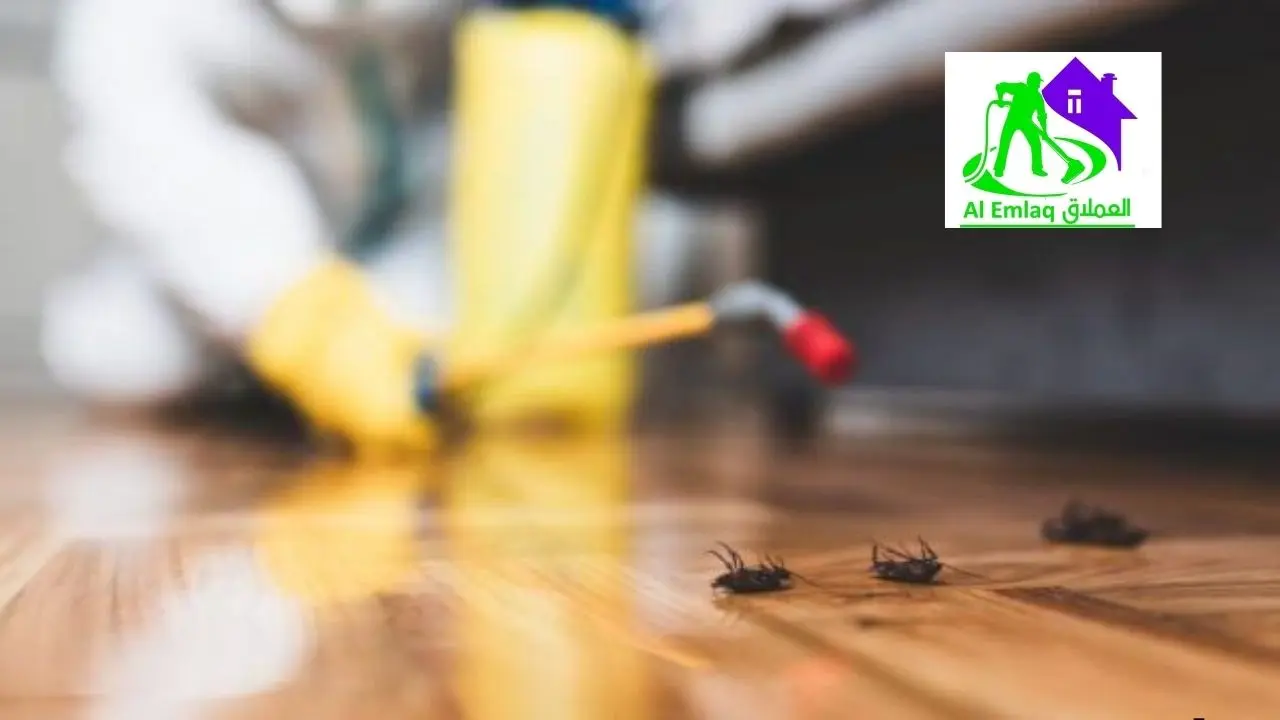 مكافحة صراصير في ابوظبي