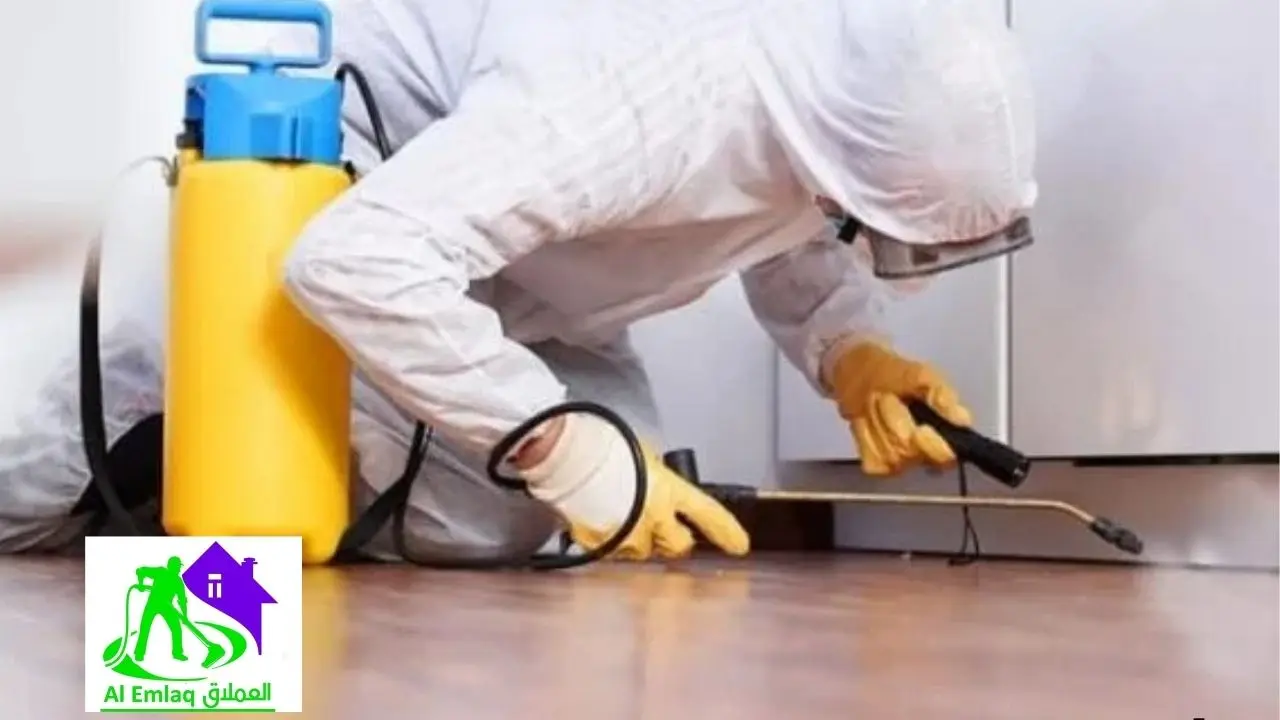 شركة مكافحة صراصير في أبوظبي