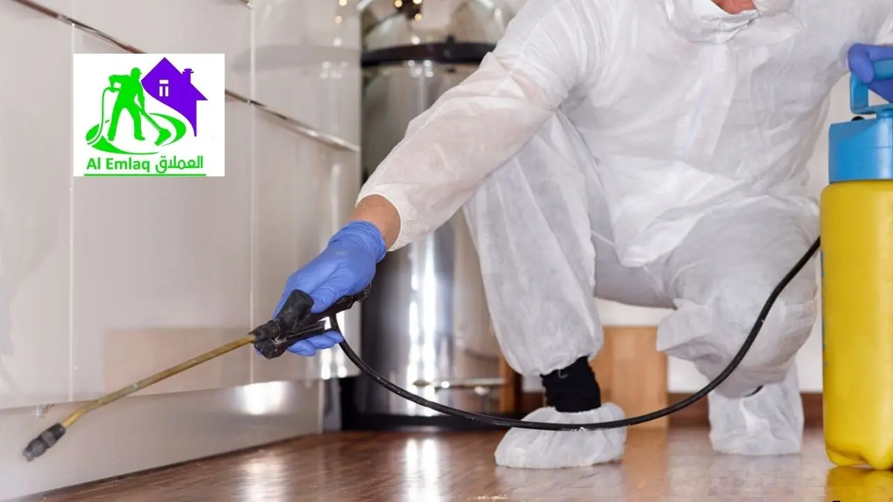 شركات رش الحشرات في ابوظبي