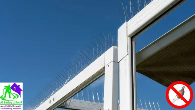 شركة مكافحة الحمام في رأس الخيمة