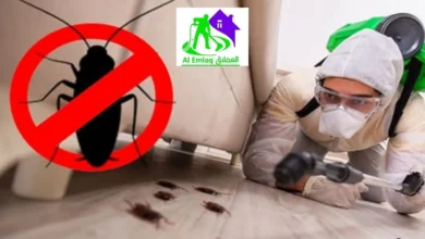 شركة مكافحة صراصير في ابوظبي