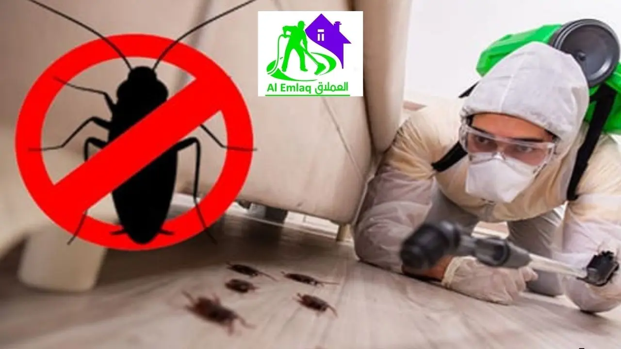 شركة مكافحة صراصير في ابوظبي