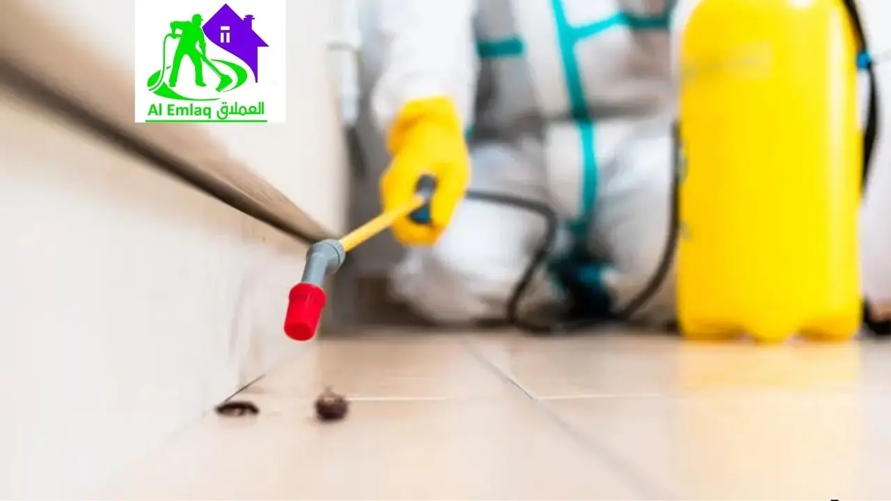 ارقام شركات رش الحشرات في ابوظبي