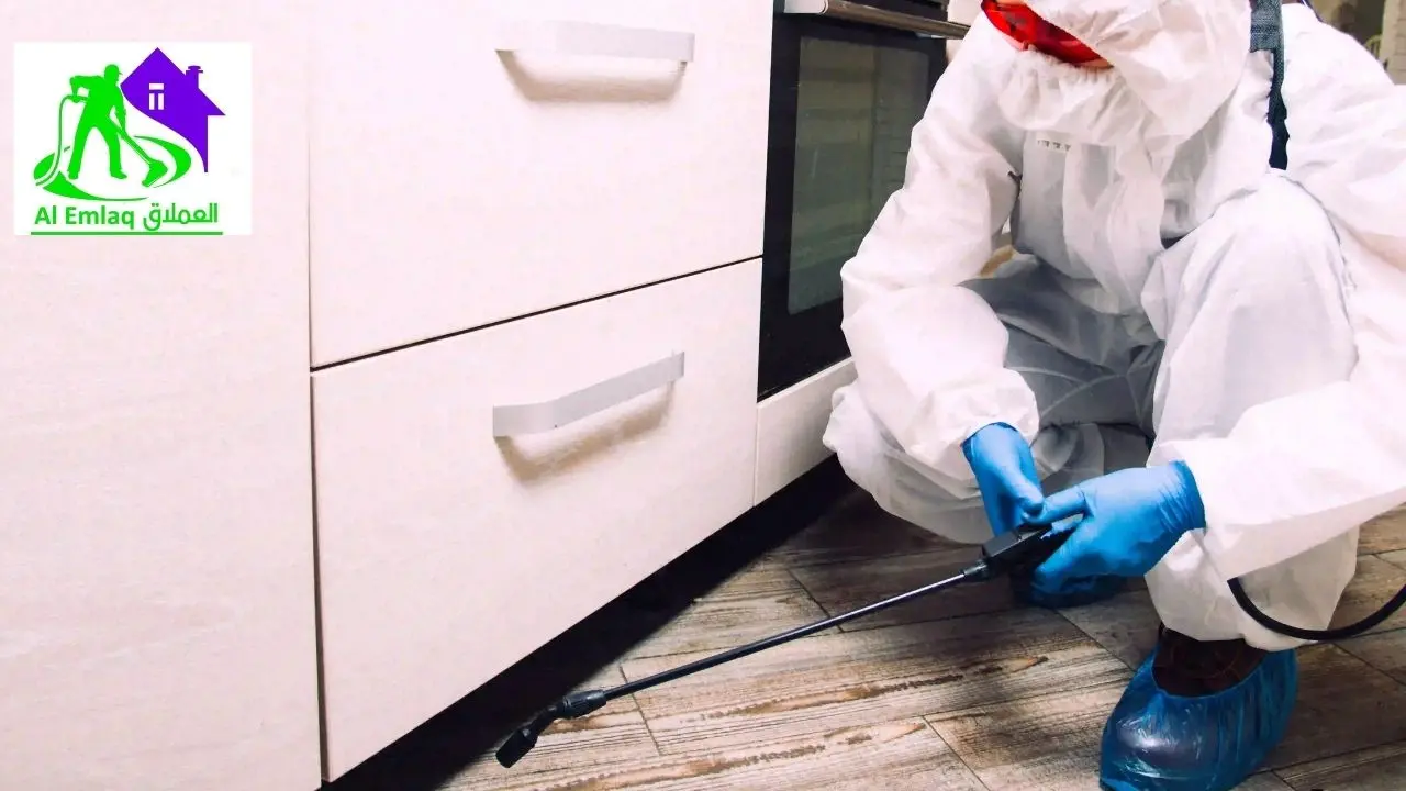 شركات مكافحة حشرات بالعين