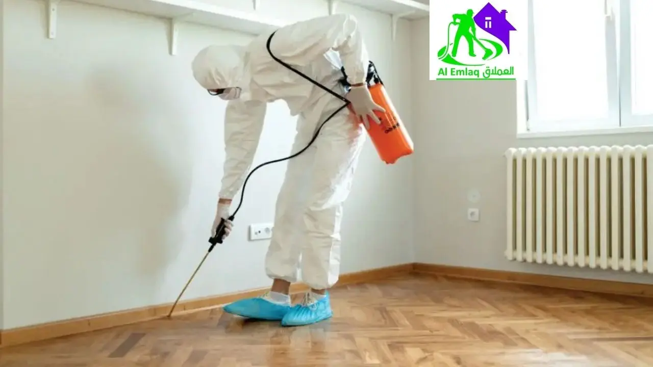 شركة رش مبيدات في رأس الخيمة
