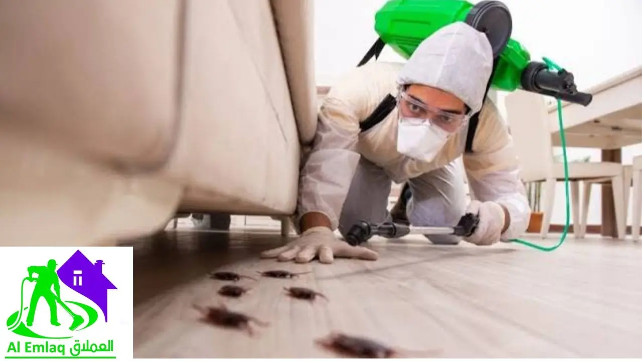 شركة مكافحة حشرات في العين