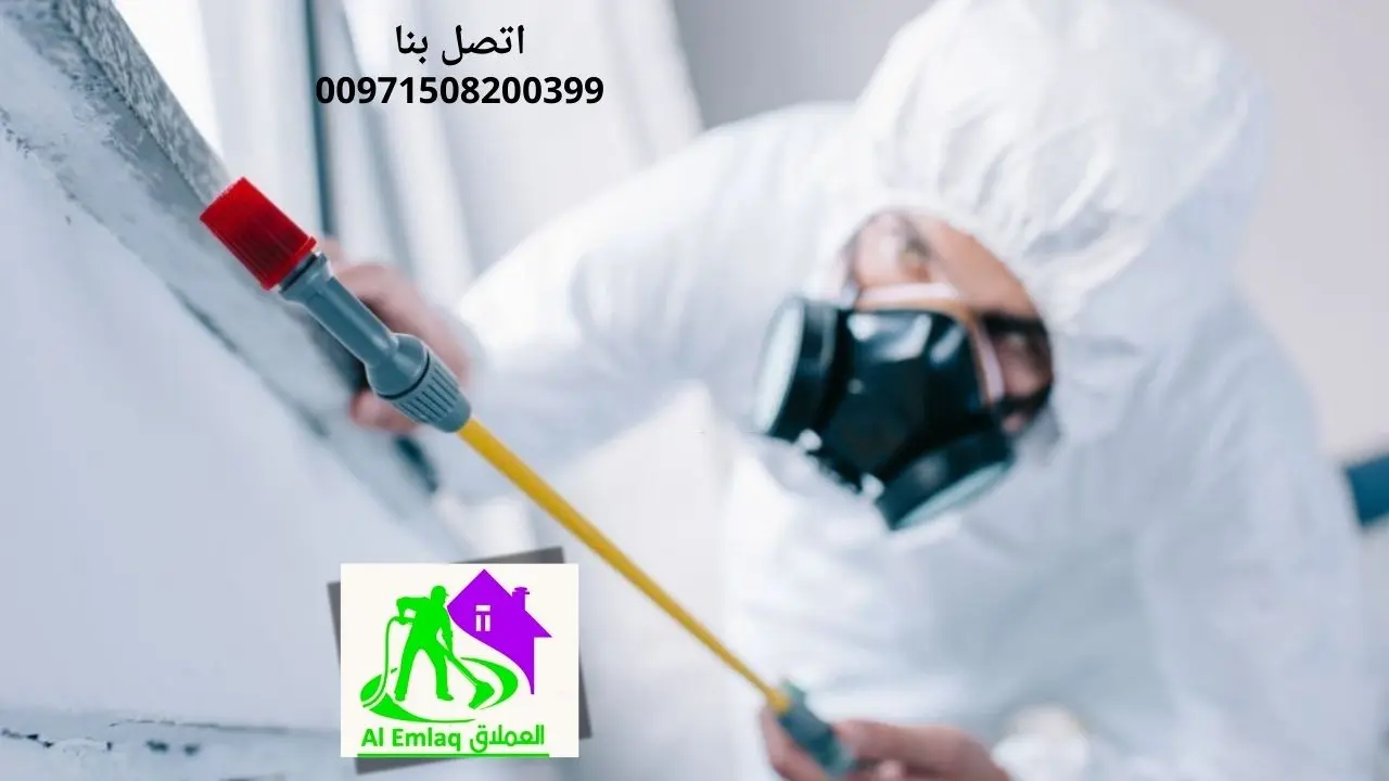 شركة مكافحة الحشرات في الشارقة