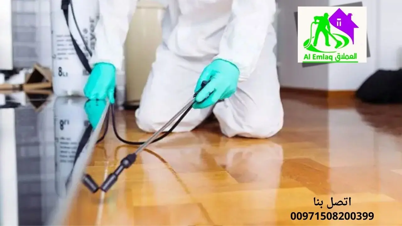 شركة رش حشرات ومكافحة قوارض