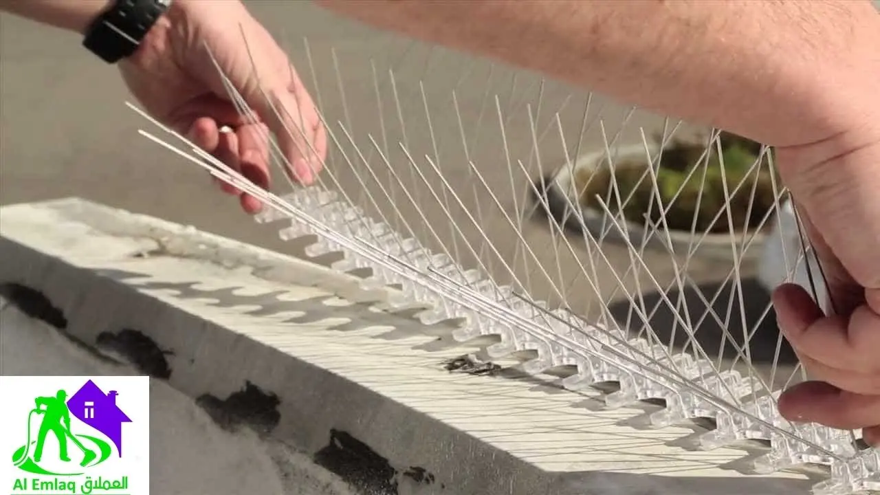 تركيب مانع الحمام والطيور في العين