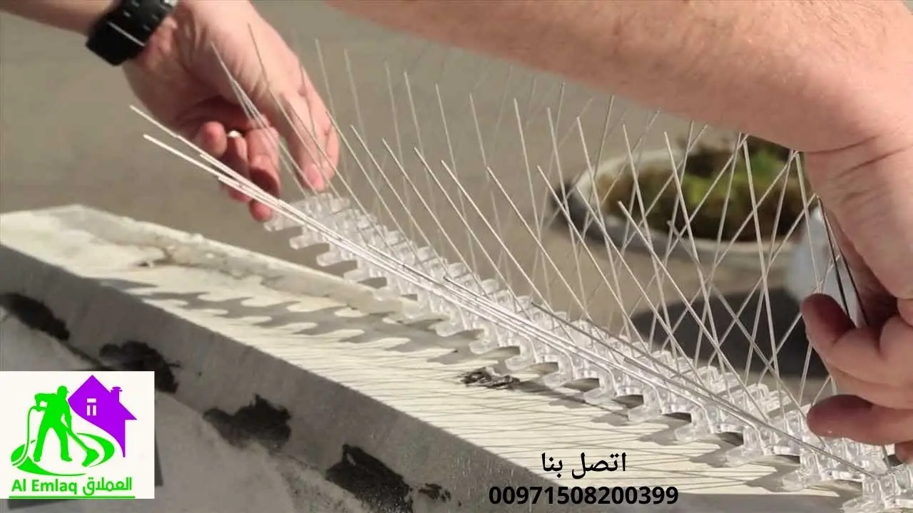 تركيب شبك طارد الحمام في الفجيرة