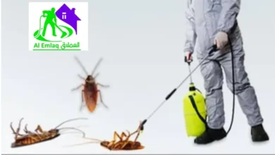 مكافحة صراصير في دبي