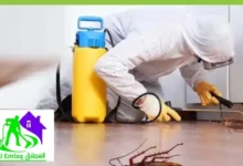 مكافحة صراصير في رأس الخيمة