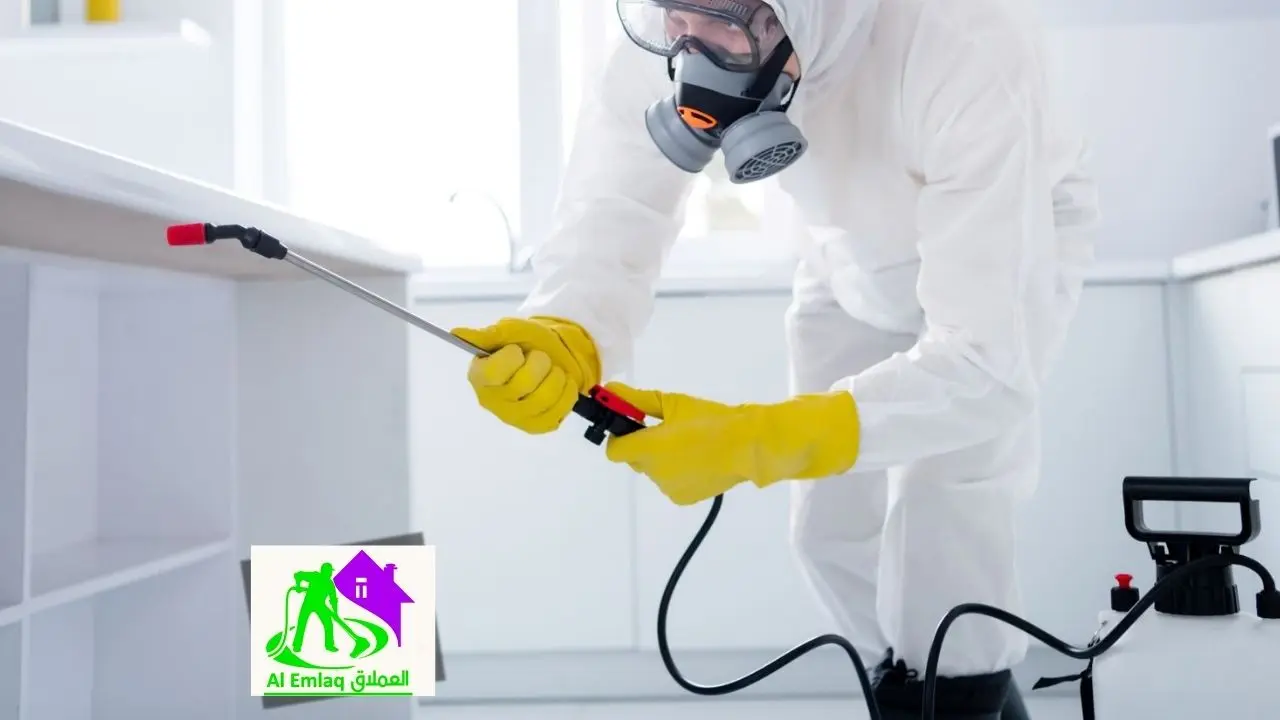خدمات شركة مكافحة الحشرات في الفجيرة