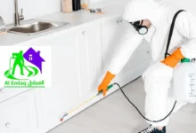 مكافحة الحشرات في الفجيرة