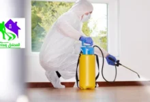 شركة مكافحة الحشرات في العين