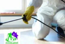 شركة مكافحة الحشرات في دبي
