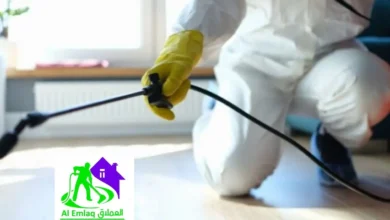 شركة مكافحة الحشرات في دبي