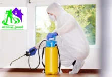 شركة مكافحة الحشرات في عجمان