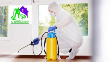 شركة مكافحة الحشرات في عجمان