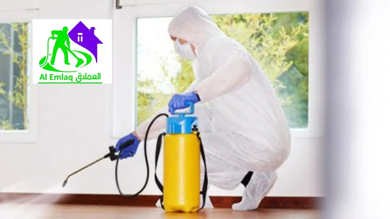 شركة مكافحة الحشرات في عجمان