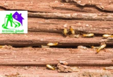 أسعار مكافحة الرمة في رأس الخيمة