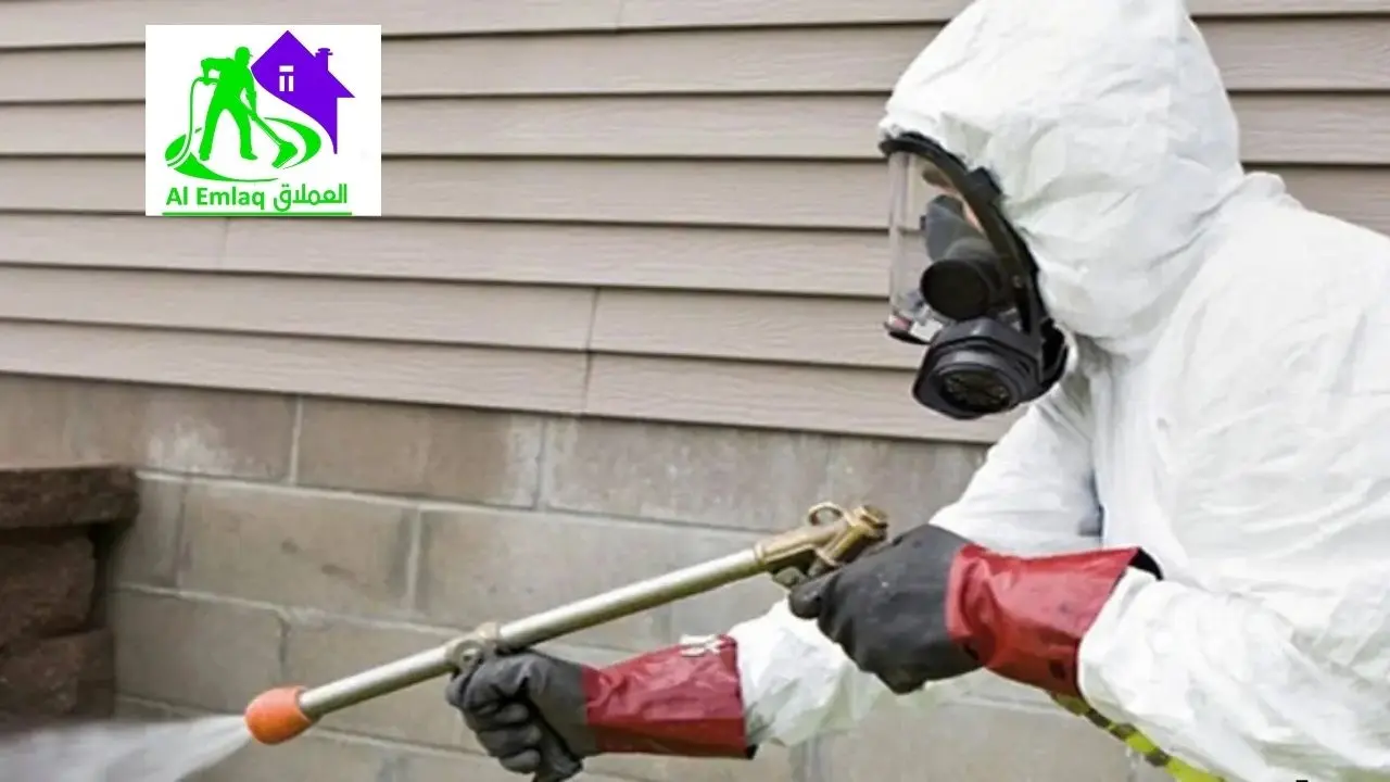 شركة مكافحة النمل الأبيض في ابو ظبي