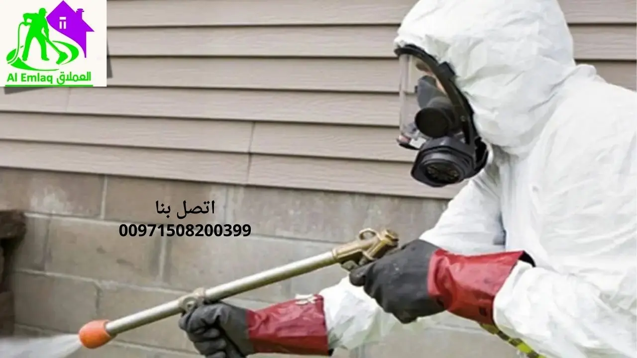 مكافحة النمل الأبيض في الفجيرة