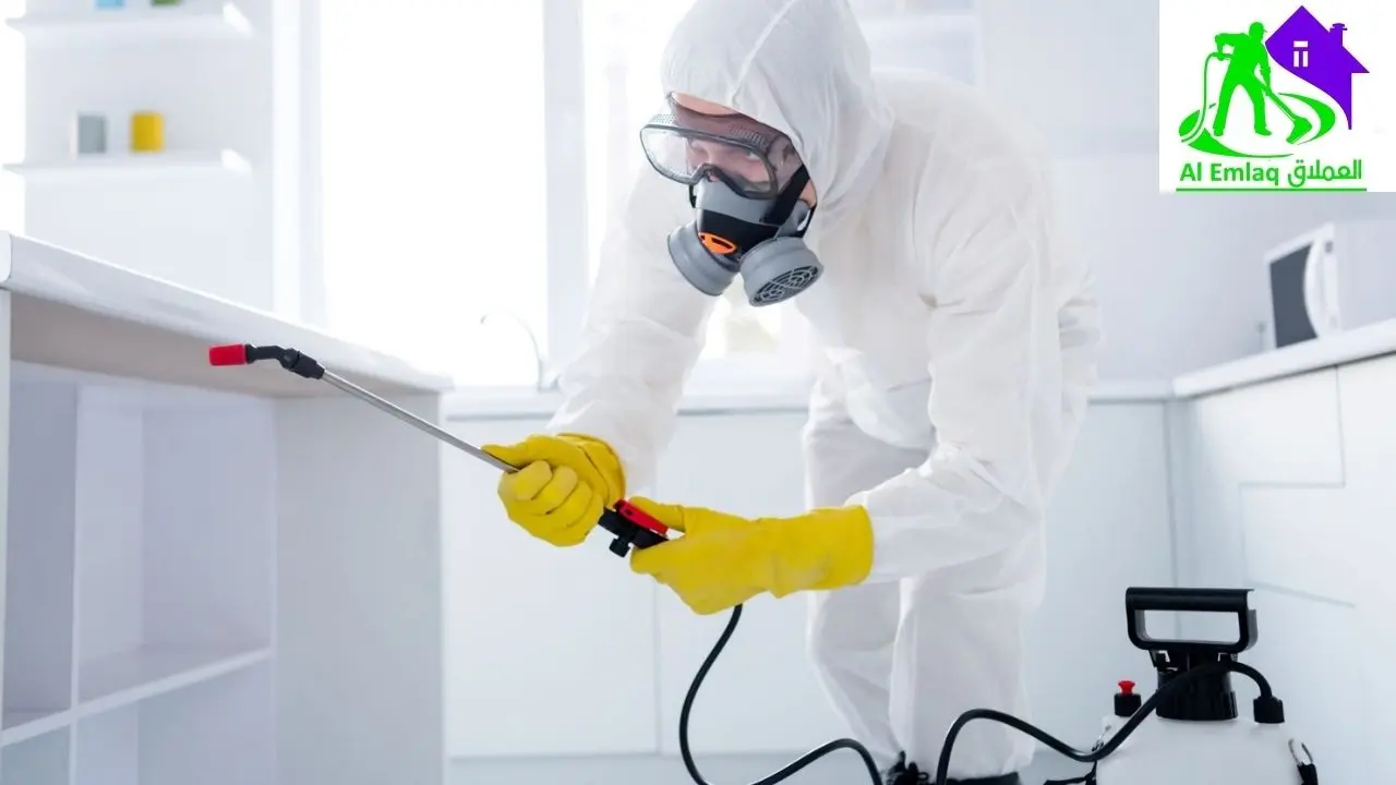 شركة مكافحة النمل الأبيض في العين