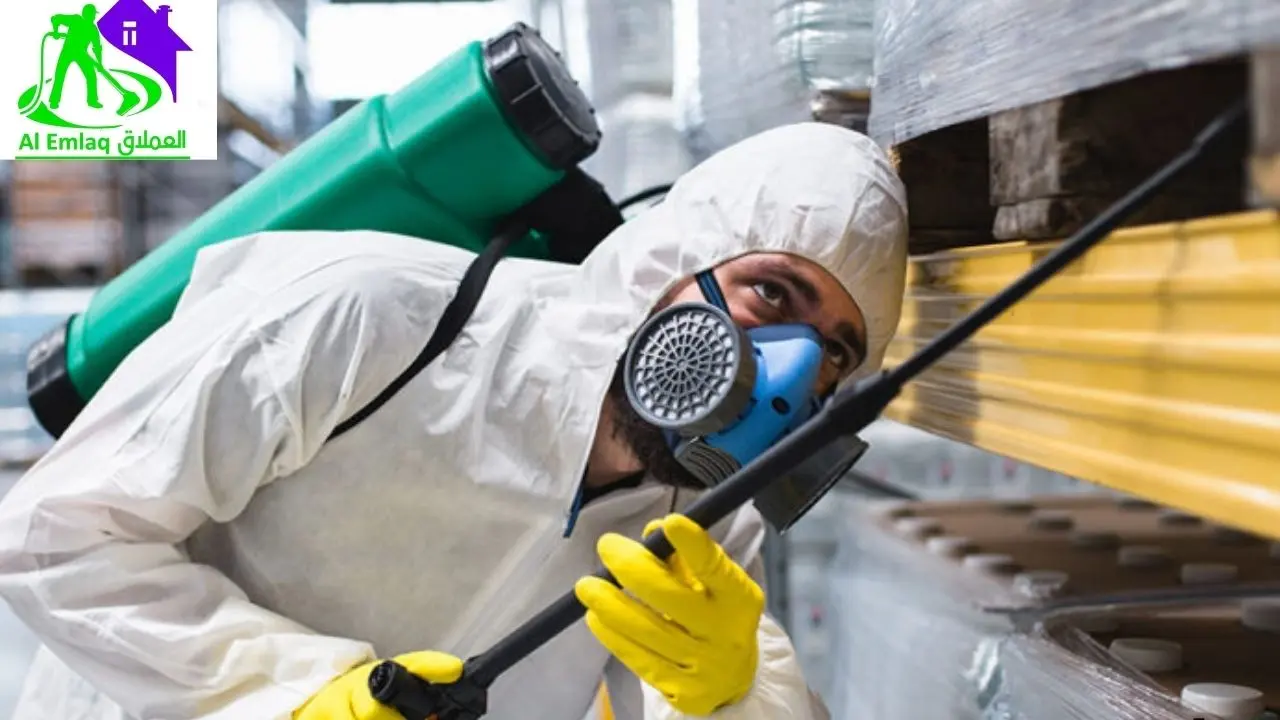 رقم شركة مكافحة النمل الأبيض في العين