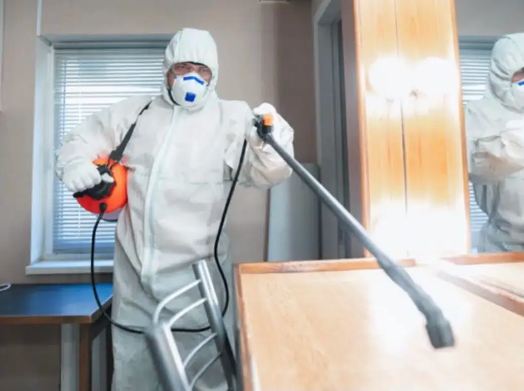 شركة مكافحة النمل الأبيض في الشارقة