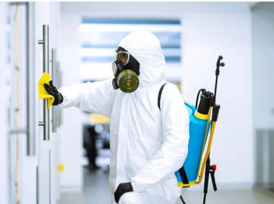 ارخص شركة مكافحة الرمة في الشارقة