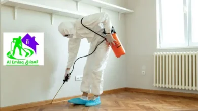 شركة مكافحة النمل الأبيض في الشارقة