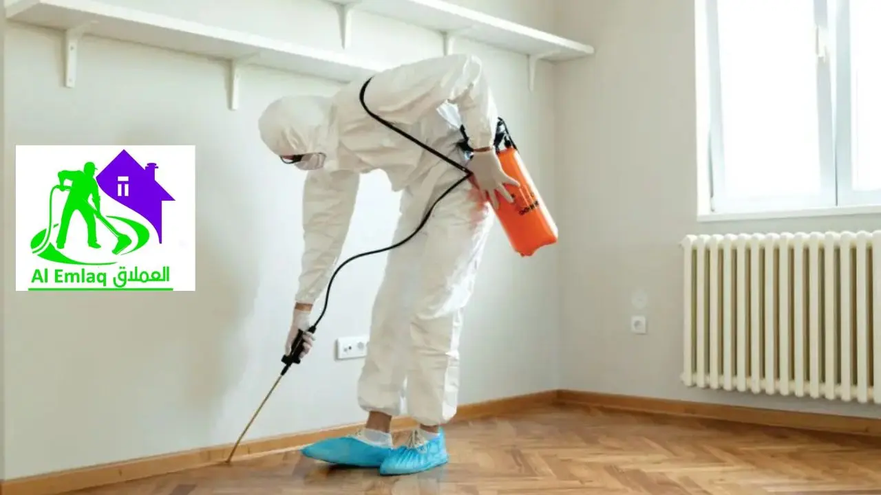 شركة مكافحة النمل الأبيض في الشارقة
