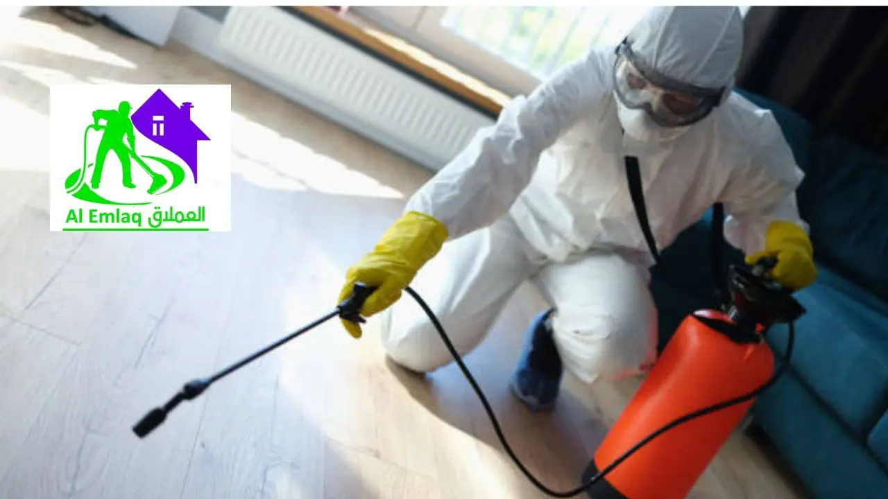 شركة مكافحة النمل الأبيض في عجمان
