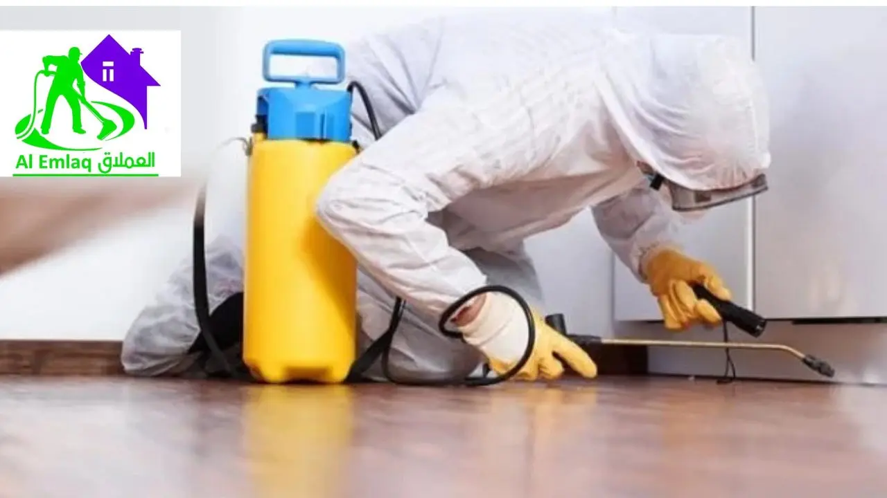 شركة مكافحة النمل الأبيض في رأس الخيمة