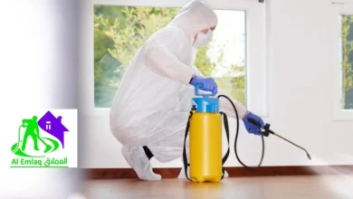 شركة مكافحة النمل الأبيض في الفجيرة