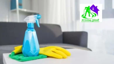 شركة عاملات بالساعة في الإمارات