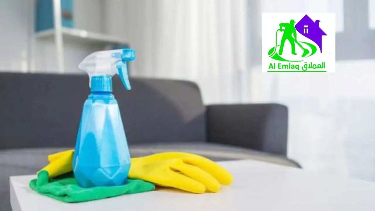 شركة عاملات بالساعة في الإمارات