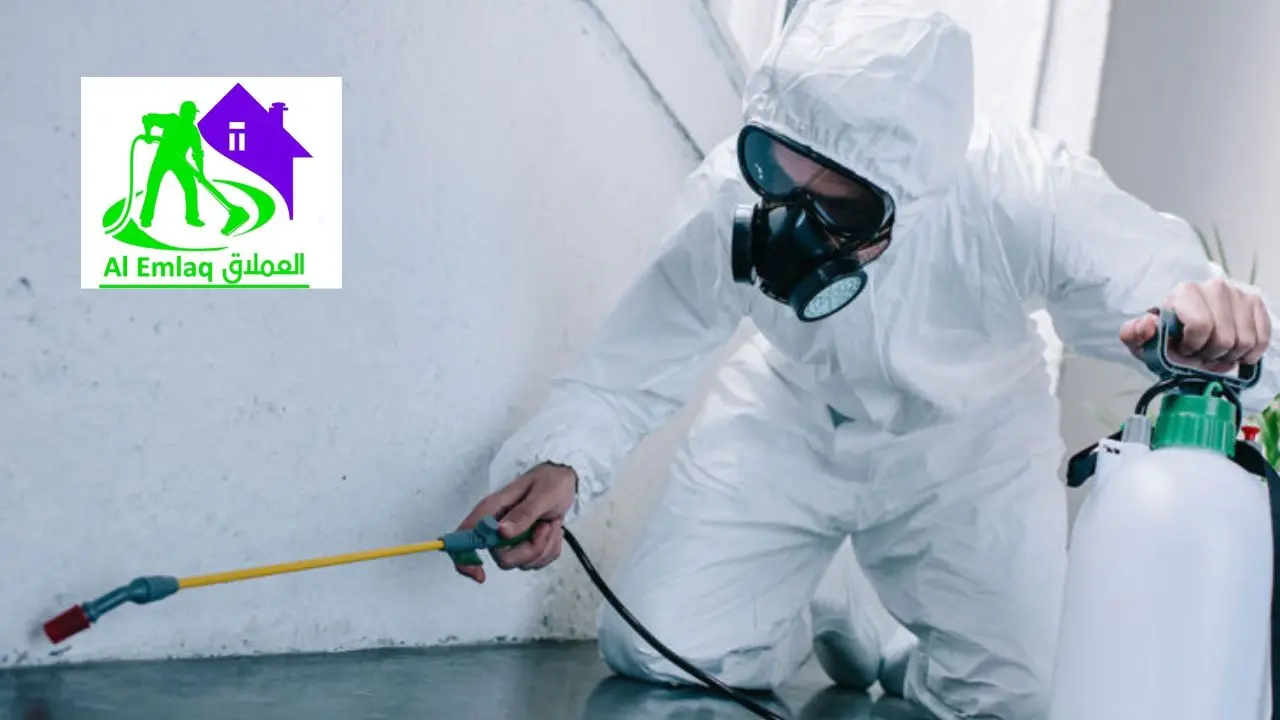 شركة مكافحة النمل الأبيض في ابو ظبي