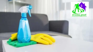 خادمات بالساعة في الإمارات