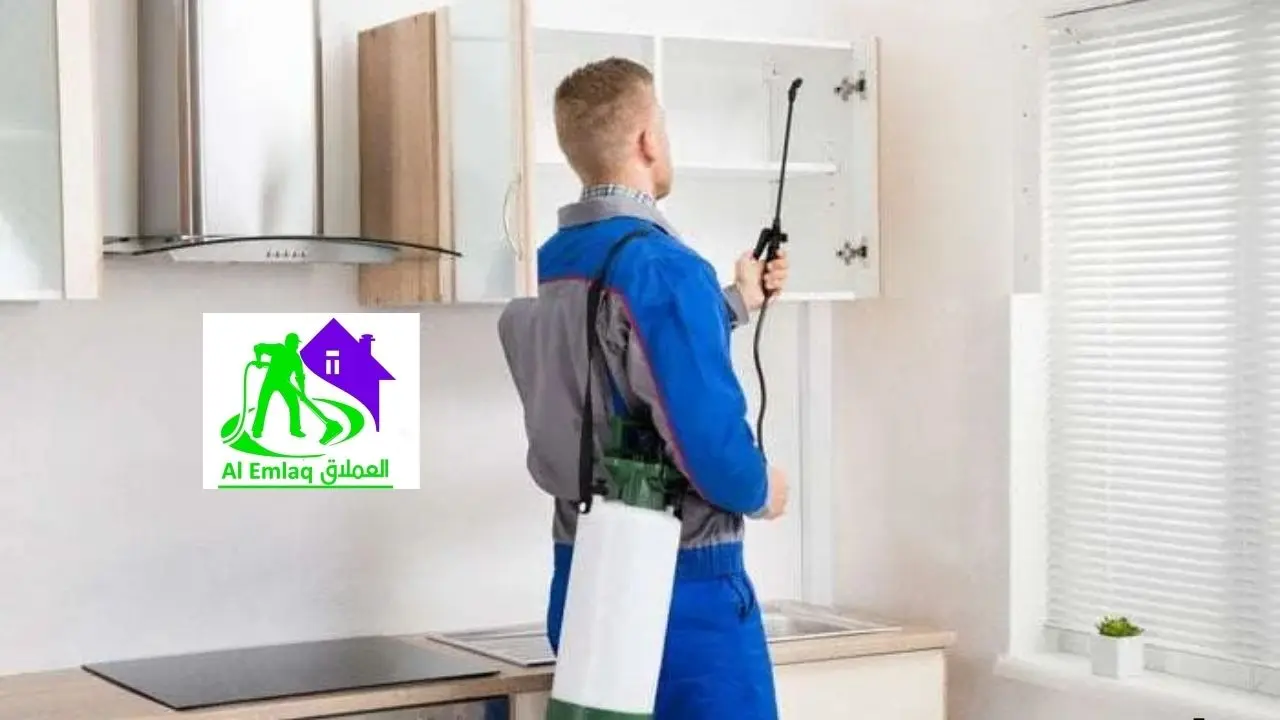 شركة رش مبيدات ضد الرمة في العين