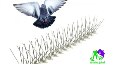 تركيب طارد الحمام في دبي